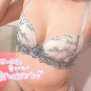 ヒメ日記 2025/05/01 08:55 投稿 まりあ 若葉