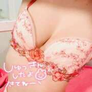 ヒメ日記 2025/08/01 08:45 投稿 まりあ 若葉