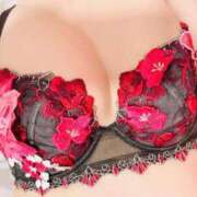 ヒメ日記 2025/08/19 08:55 投稿 まりあ 若葉