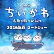 ヒメ日記 2025/11/26 07:39 投稿 まりあ 若葉