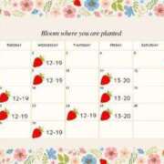 ヒメ日記 2025/03/30 17:25 投稿 まどか Noble