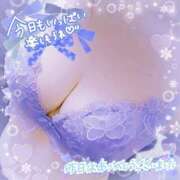 ヒメ日記 2024/12/14 08:24 投稿 れん 夜這専門発情する奥様たち 難波店