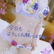 ヒメ日記 2024/12/24 14:24 投稿 れん 夜這専門発情する奥様たち 難波店