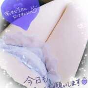 ヒメ日記 2025/01/17 08:24 投稿 れん 夜這専門発情する奥様たち 難波店