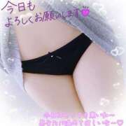 ヒメ日記 2025/01/25 11:04 投稿 れん 夜這専門発情する奥様たち 難波店