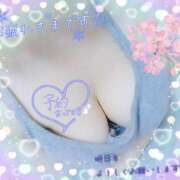 ヒメ日記 2025/03/28 18:05 投稿 れん 夜這専門発情する奥様たち 難波店