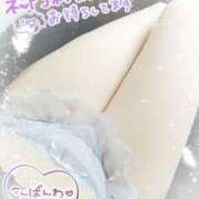 ヒメ日記 2025/05/05 16:14 投稿 れん 夜這専門発情する奥様たち 難波店