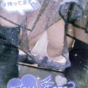 ヒメ日記 2025/08/21 18:05 投稿 れん 夜這専門発情する奥様たち 難波店