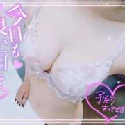 ヒメ日記 2025/11/22 15:24 投稿 れん 夜這専門発情する奥様たち 難波店