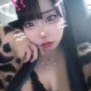 ヒメ日記 2025/10/16 18:11 投稿 あずさ OKINI八王子