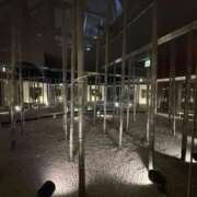 ヒメ日記 2026/04/11 03:00 投稿 るん 黒い金魚（札幌）