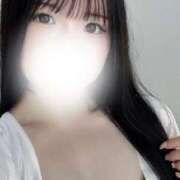 ヒメ日記 2025/08/26 08:20 投稿 もか 黒い金魚（札幌）