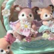 ヒメ日記 2025/11/17 14:25 投稿 もか 黒い金魚（札幌）