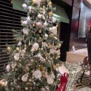 もか 積もった⛄️ 黒い金魚（札幌）