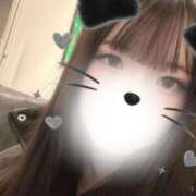 ヒメ日記 2026/01/30 01:50 投稿 もか 黒い金魚（札幌）