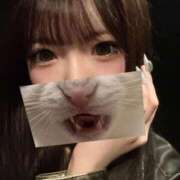 ヒメ日記 2026/01/31 05:20 投稿 もか 黒い金魚（札幌）