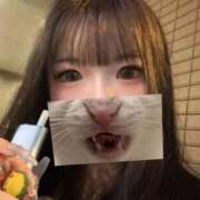 ヒメ日記 2026/02/04 23:30 投稿 もか 黒い金魚（札幌）