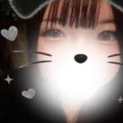 ヒメ日記 2026/03/07 04:50 投稿 もか 黒い金魚（札幌）