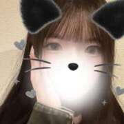 ヒメ日記 2026/04/25 03:40 投稿 もか 黒い金魚（札幌）