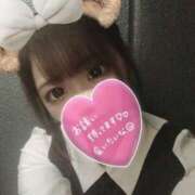 ヒメ日記 2025/11/10 06:46 投稿 なでこ Baby Doll's