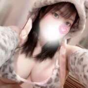 ひかり 取り急ぎ ふわメロ