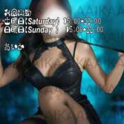 ヒメ日記 2025/04/01 12:04 投稿 あいか 名古屋痴女性感フェチ倶楽部