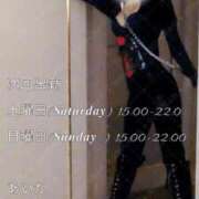 ヒメ日記 2026/03/20 07:19 投稿 あいか 名古屋痴女性感フェチ倶楽部