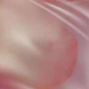 ヒメ日記 2025/06/26 20:00 投稿 【NH】きゆう/Kiyuu VERY（ヴェリィ)