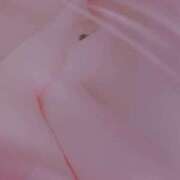 ヒメ日記 2026/07/20 20:21 投稿 【NH】きゆう/Kiyuu VERY（ヴェリィ)