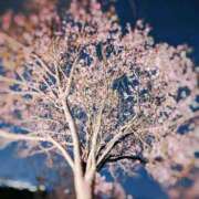 ヒメ日記 2026/04/04 09:24 投稿 ななせ～マダム～ クラブレア南大阪