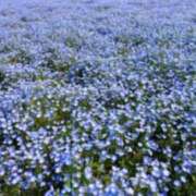大塚あやの(おおつかあやの) アレルギー⭐︎ 神戸妻