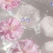 ヒメ日記 2025/04/16 14:23 投稿 成瀬 みはる当店激人気姫希少Ｓ ファーストクラス ルビー