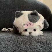 ヒメ日記 2025/10/08 10:43 投稿 成瀬 みはる当店激人気姫希少Ｓ ファーストクラス ルビー