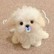 ヒメ日記 2026/01/09 16:37 投稿 成瀬 みはる当店激人気姫希少Ｓ ファーストクラス ルビー