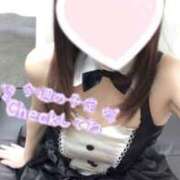 ヒメ日記 2025/04/07 01:03 投稿 ありさ サンクチュアリ(上野)