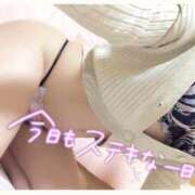 ヒメ日記 2025/07/08 15:01 投稿 ありさ サンクチュアリ(上野)