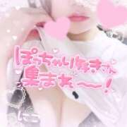 ヒメ日記 2025/09/16 22:32 投稿 にこ Hip's千葉駅前店