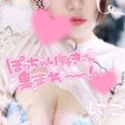 ヒメ日記 2025/09/27 20:22 投稿 にこ Hip's千葉駅前店