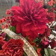 ヒメ日記 2024/12/26 07:38 投稿 まり 新宿・新大久保おかあさん