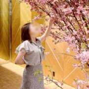 ヒメ日記 2025/04/11 09:51 投稿 まり 新宿・新大久保おかあさん