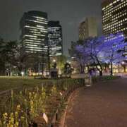 ヒメ日記 2025/04/12 01:40 投稿 まり 新宿・新大久保おかあさん