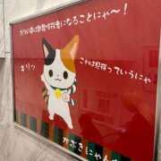 ヒメ日記 2025/04/16 08:40 投稿 まり 新宿・新大久保おかあさん