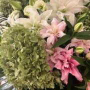 ヒメ日記 2025/08/29 22:50 投稿 まり 新宿・新大久保おかあさん