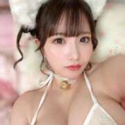 ヒメ日記 2024/12/18 23:15 投稿 こよみ コートダジュール