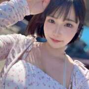 ヒメ日記 2025/03/09 23:59 投稿 こよみ コートダジュール