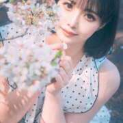 ヒメ日記 2025/06/23 23:43 投稿 こよみ コートダジュール