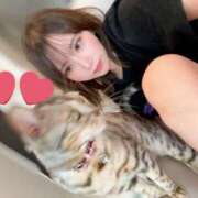 ヒメ日記 2025/09/14 23:45 投稿 こよみ コートダジュール