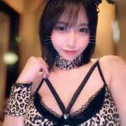 ヒメ日記 2025/12/01 23:01 投稿 こよみ コートダジュール