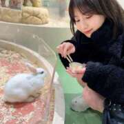 ヒメ日記 2025/12/17 01:01 投稿 こよみ コートダジュール