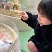 ヒメ日記 2025/12/30 23:48 投稿 こよみ コートダジュール